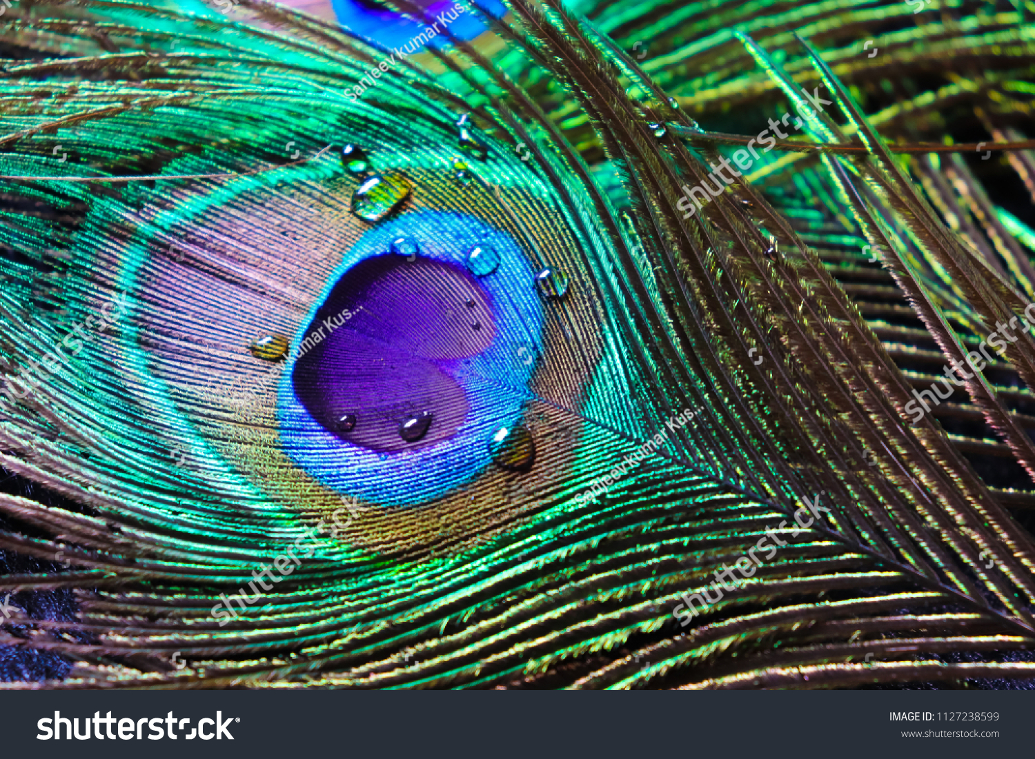 sample_image.jpg
